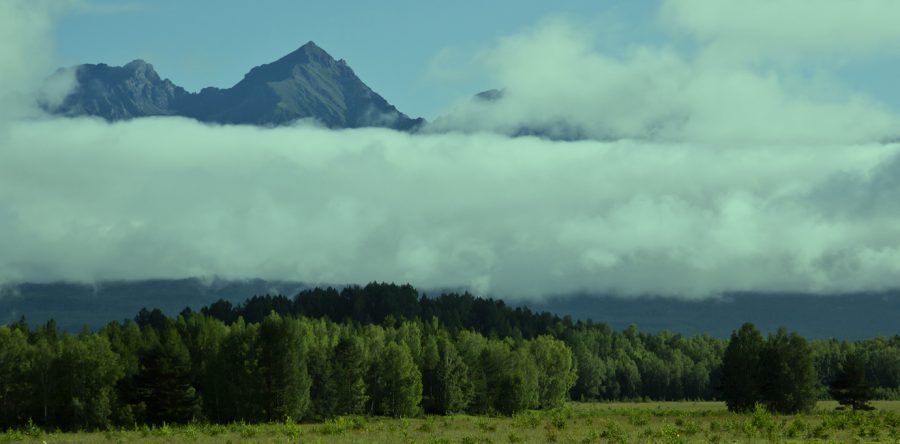 header bild text english